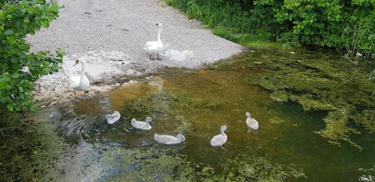 Chill&Grill Camping Daugavpils Dış mekan fotoğraf